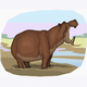MG: hippopotamus; hippo; river horse