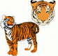 MG: tiger
